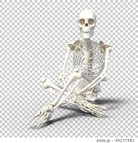 骨架骨架骨架perming3dcg插圖素材 插圖素材 圖庫