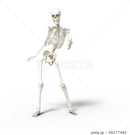 骸骨 骨格 スケルトンperming3dcg イラスト素材のイラスト素材