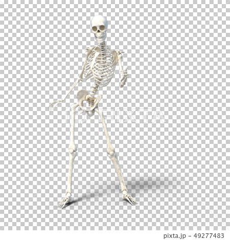 骸骨 骨格 スケルトンperming3DCG イラスト素材 骸骨 骨格 スケルトンperming3DCG イラスト素材 49277483