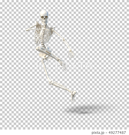 骸骨　骨格　スケルトンperming3DCG イラスト素材 49277487