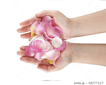 背景 花 バラ 49277527