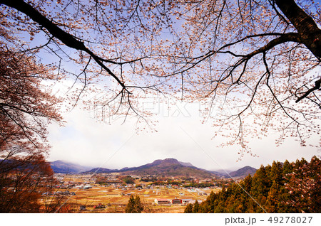 桜のつぼみと田舎の景色 49278027
