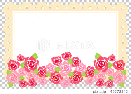 薔薇 49278342