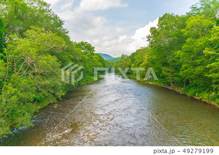 夏の鵡川 占冠 夏の鵡川 占冠 49279199