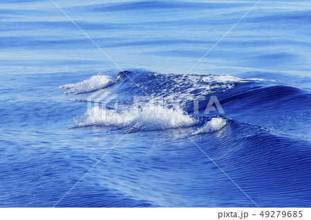 ボニンブルーの凪の海　小笠原 49279685