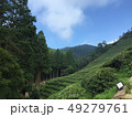 夏 風景 空 49279761