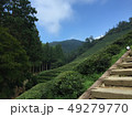 夏 風景 空 49279770