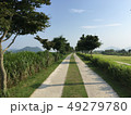 夏 風景 空 49279780