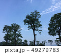 夏 風景 空 49279783