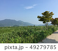 夏 風景 空 49279785