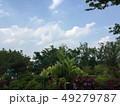夏 風景 空 49279787