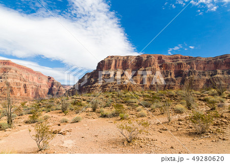 view of grand canyon cliffs and desert 49280620
