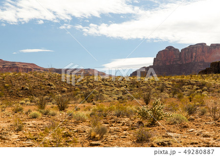 view of grand canyon desert view of grand canyon desert 49280887