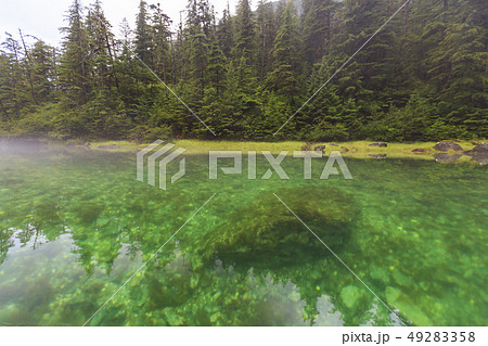 アラスカ、プリンスウィリアム湾　森に囲まれた入江 49283358