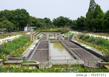 荒子川公園の花壇 荒子川公園の花壇 49287551