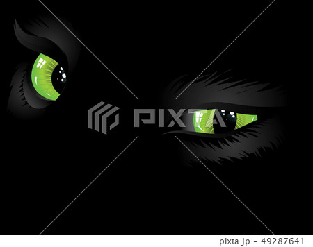 Green cat eyes in the dark 49287641