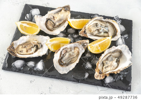 Raw oysters on the slate board Raw oysters on the slate board 49287736