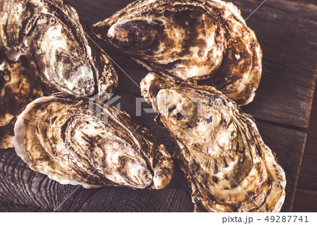 Raw oysters on the board Raw oysters on the board 49287741