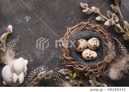 Quail easter eggs in nest, bunny and spring willow 49288342