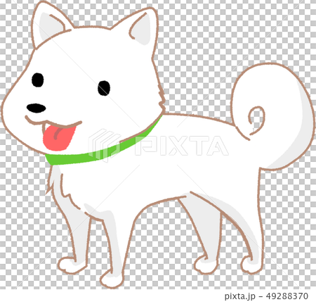 Shiroshiba Shiroshiba 49288370