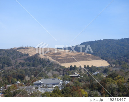 奈良市街地 49288447