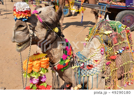 インドのラジャスタン州のプシュカル カラフルな装飾品を身に付けた