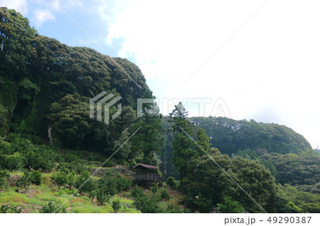 風景 観光 風 49290387