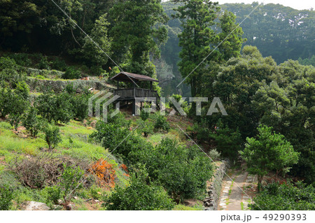 風景 観光 風 49290393