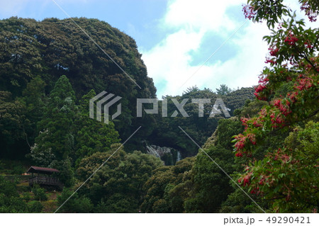 風景 観光 風 49290421