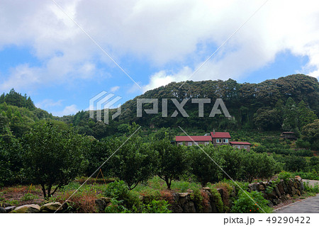 風景 観光 風 49290422