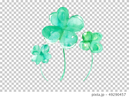 Clover watercolor illustration trace vector Clover watercolor illustration trace vector 49290457