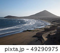【スペイン】 テネリフェ島　テネリフェ島のビーチ 49290975