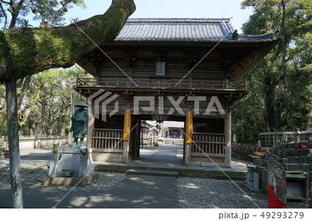 【四国八十八ヶ所】第二十四番 最御崎寺 木漏れ日と仁王門 高知県室戸市 【四国八十八ヶ所】第二十四番 最御崎寺 木漏れ日と仁王門 高知県室戸市 49293279
