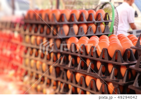 Hen egg in the market 49294042
