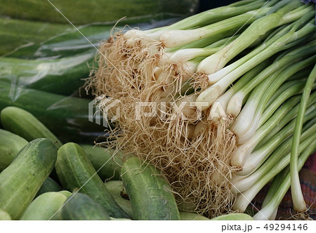 Spring onions at market 49294146