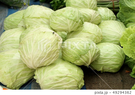 cabbage at the market 49294362