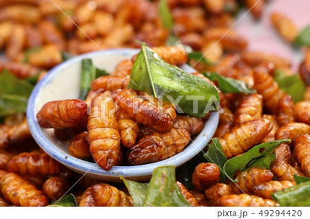 Fried insect at street food 49294420