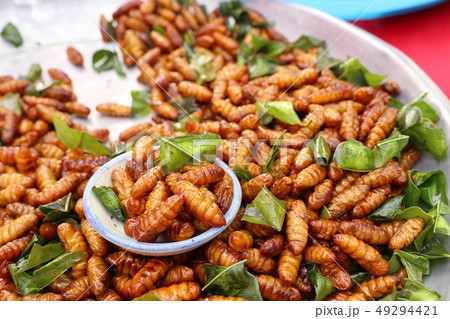 Fried insect at street food 49294421