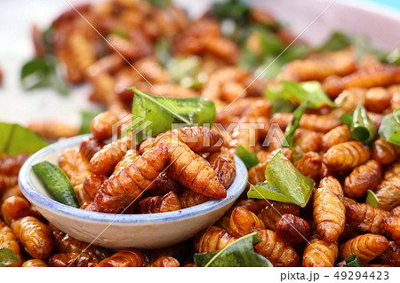 Fried insect at street food Fried insect at street food 49294423