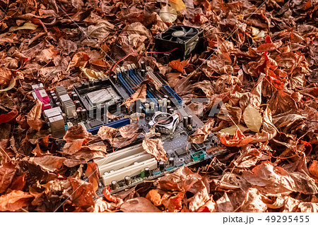 Motherboard dumped in a landfill Motherboard dumped in a landfill 49295455