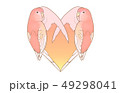 アキクサインコ 49298041