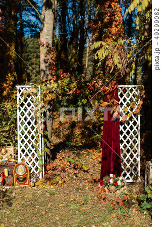 Autumn decor for a photo shoot in the forest. Autumn decor for a photo shoot in the forest. 49299082