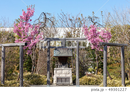 博多駅屋上の鉄道神社_(つばめの杜ひろば内、博多区内の住吉神社から分霊) 博多駅屋上の鉄道神社_(つばめの杜ひろば内、博多区内の住吉神社から分霊) 49301227