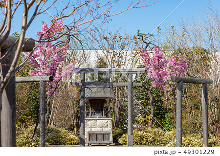 博多駅屋上の鉄道神社_（つばめの杜ひろば内、博多区内の住吉神社から分霊） 49301229