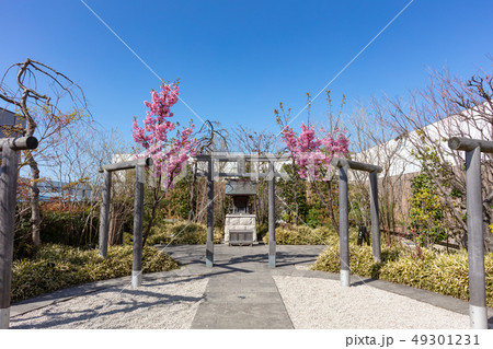 博多駅屋上の鉄道神社_(つばめの杜ひろば内、博多区内の住吉神社から分霊) 博多駅屋上の鉄道神社_(つばめの杜ひろば内、博多区内の住吉神社から分霊) 49301231