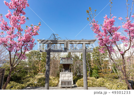 博多駅屋上の鉄道神社_(つばめの杜ひろば内、博多区内の住吉神社から分霊) 博多駅屋上の鉄道神社_(つばめの杜ひろば内、博多区内の住吉神社から分霊) 49301233
