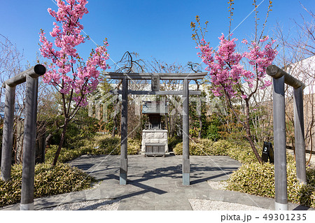 博多駅屋上の鉄道神社_(つばめの杜ひろば内、博多区内の住吉神社から分霊) 博多駅屋上の鉄道神社_(つばめの杜ひろば内、博多区内の住吉神社から分霊) 49301235