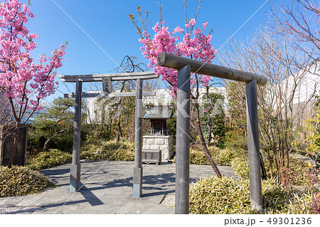博多駅屋上の鉄道神社_（つばめの杜ひろば内、博多区内の住吉神社から分霊） 49301236