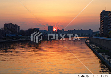 小台橋より隅田川の夕日を望む 王子 北とぴあ 小台橋より隅田川の夕日を望む 王子 北とぴあ 49301539