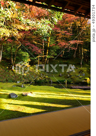 近江孤篷庵の紅葉 49301734
